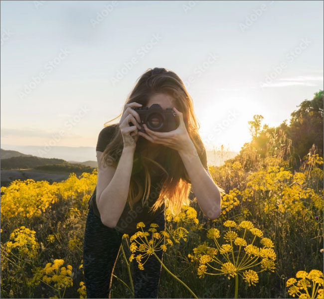 בחורה עומדת בשדה פרחים צהובים ומצלמת עם מצלמה