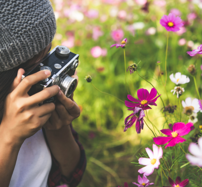 גברת מחזיקה מצלמה ומצלמת פרחים סגולים